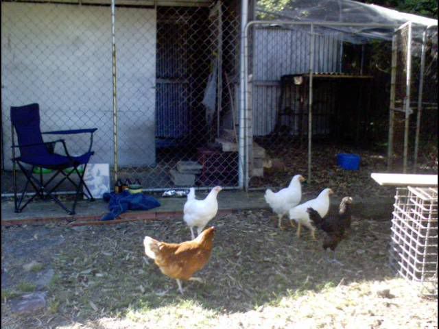 DSC00048.jpg