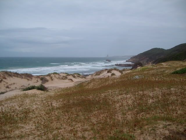 SANY0950.jpg