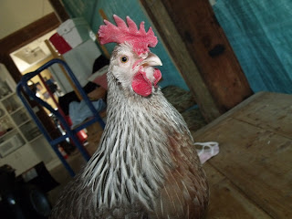 DSCF2681.JPG