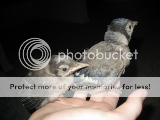 IMG_3475.jpg