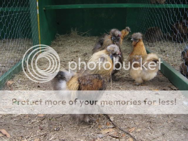 IMG_1079.jpg