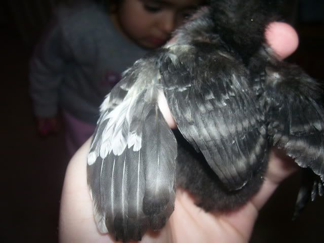 100_2557.jpg