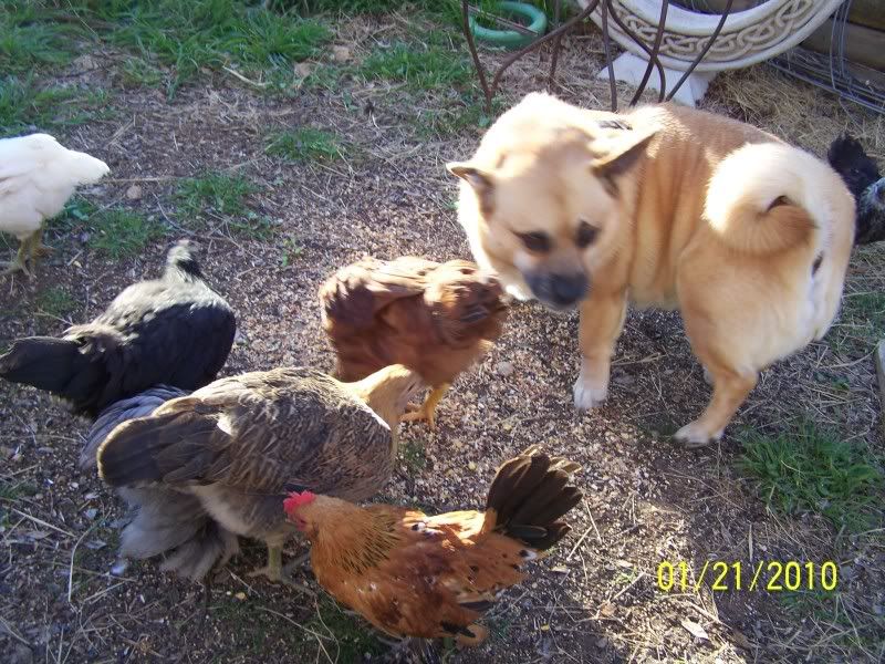 100_3884.jpg