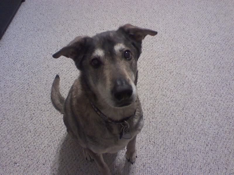 0201002055.jpg