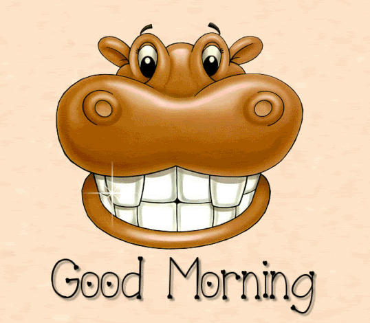 209091-Good-Morning-Hump-Day-Camel.gif