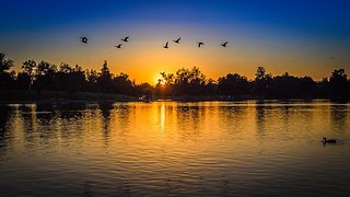 park-1562607__180.jpg