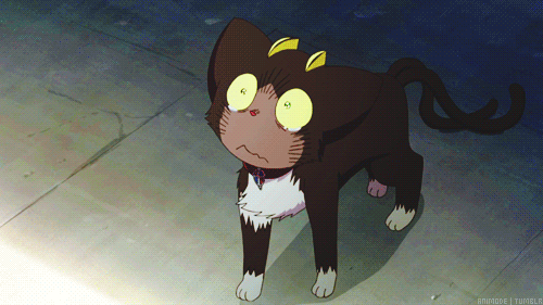 tumblr_lue68uyzvt1qk3ljko1_500.gif