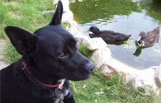 100_2034.jpg