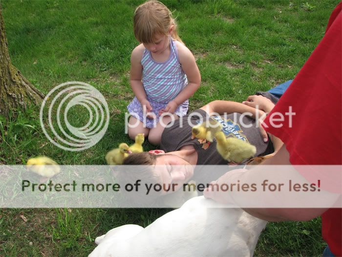 matt-n-geese-2.jpg