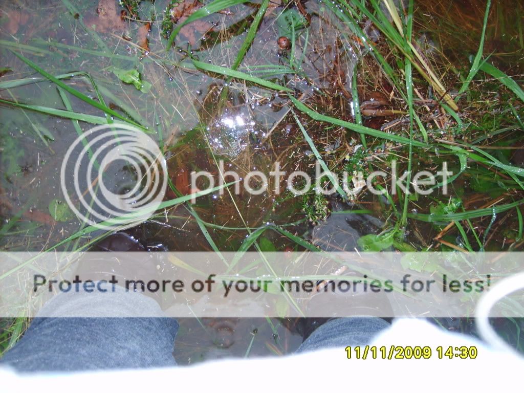 flood011.jpg