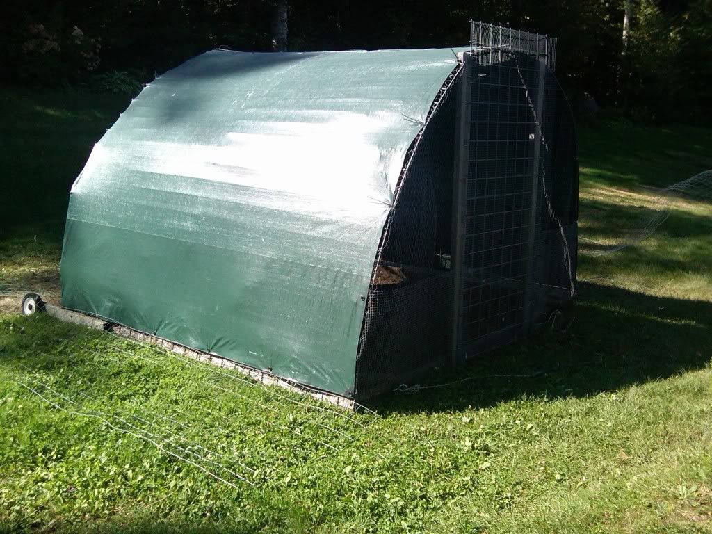 IMG00048-20110918-1055-1.jpg