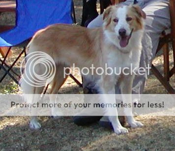 breed1d.jpg