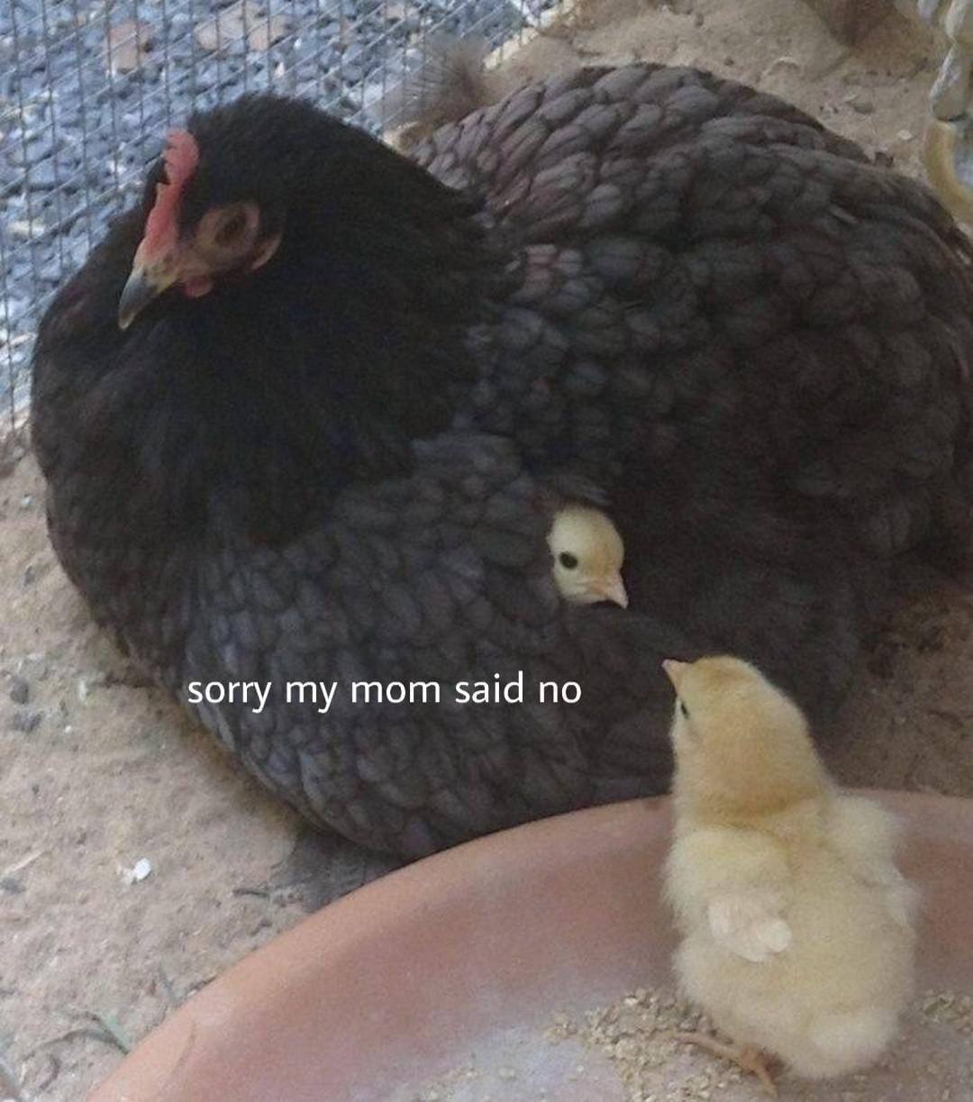 mKFxArv.jpg