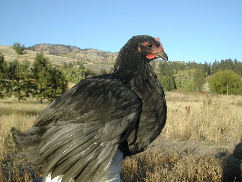 DSCN2881.jpg