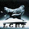 Avi_april_2006.gif