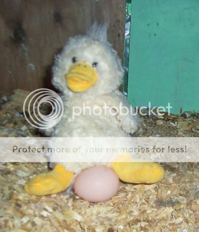 000_4062.jpg