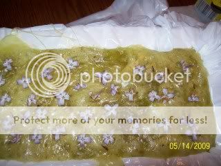 100_2525.jpg