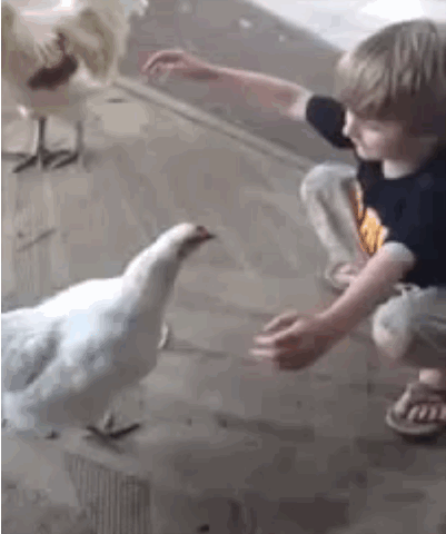 e830e13301b2a9840983ba77d700f61c.gif