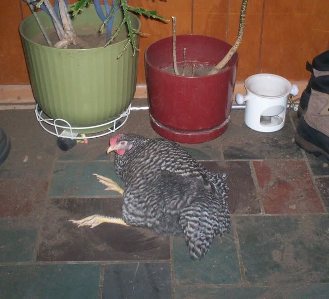 100_0624_edited.jpg