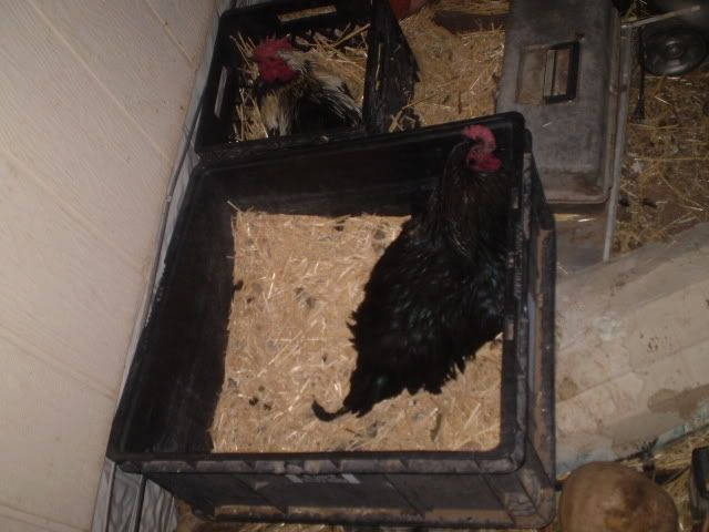 PC300171.jpg