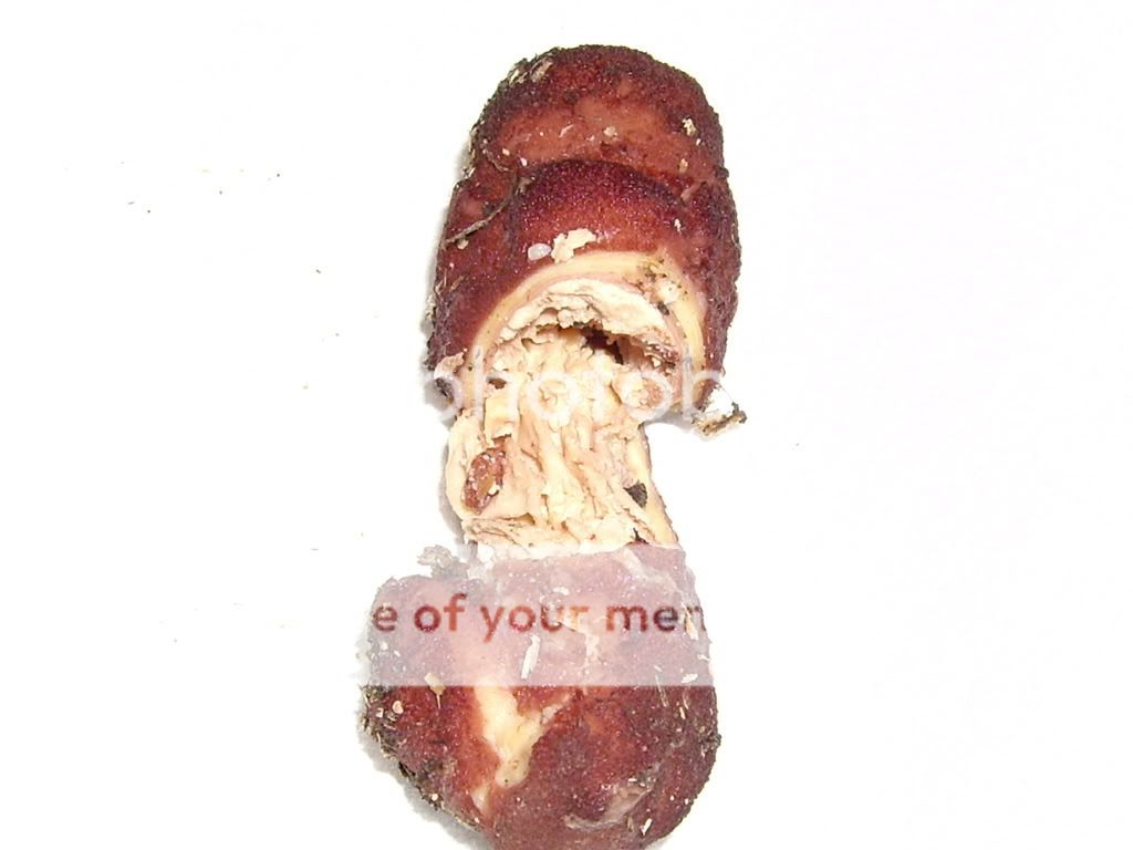 IMGP3137.jpg