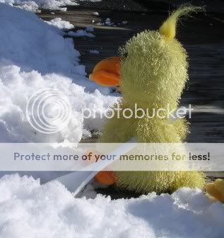 Snow8.jpg