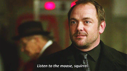 tumblr_n4p0519hLs1tysmwmo1_500.gif