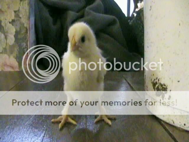 vlcsnap-00022.jpg