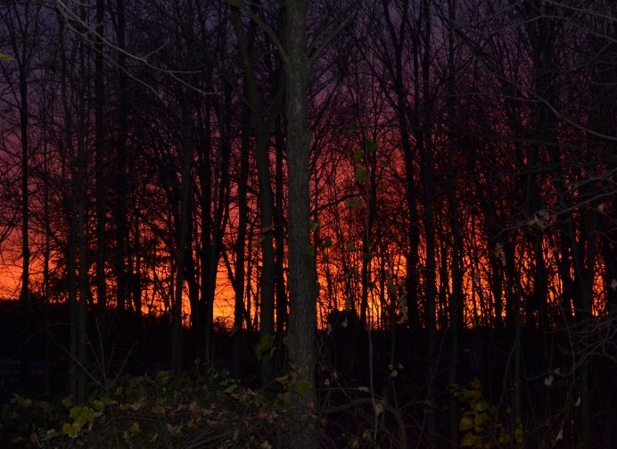 sunsetonoctober292012.jpg