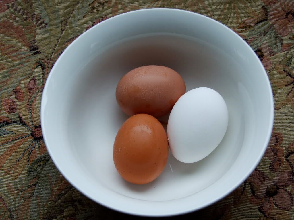 DSCF6972.jpg