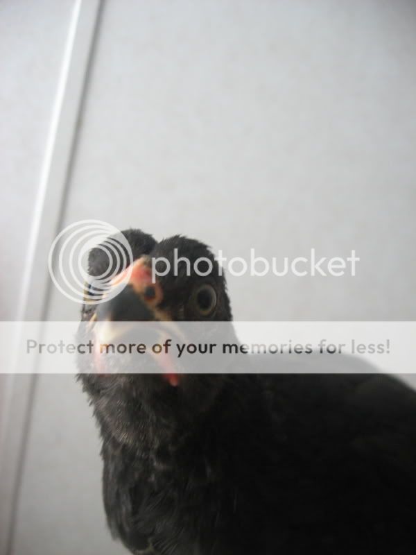 IMG_8243_4_1.jpg