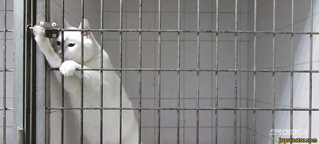 634aa3cca3b5f61861a800f0758d7a11.636x288x48.gif