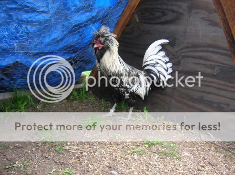 DSCN4489.jpg