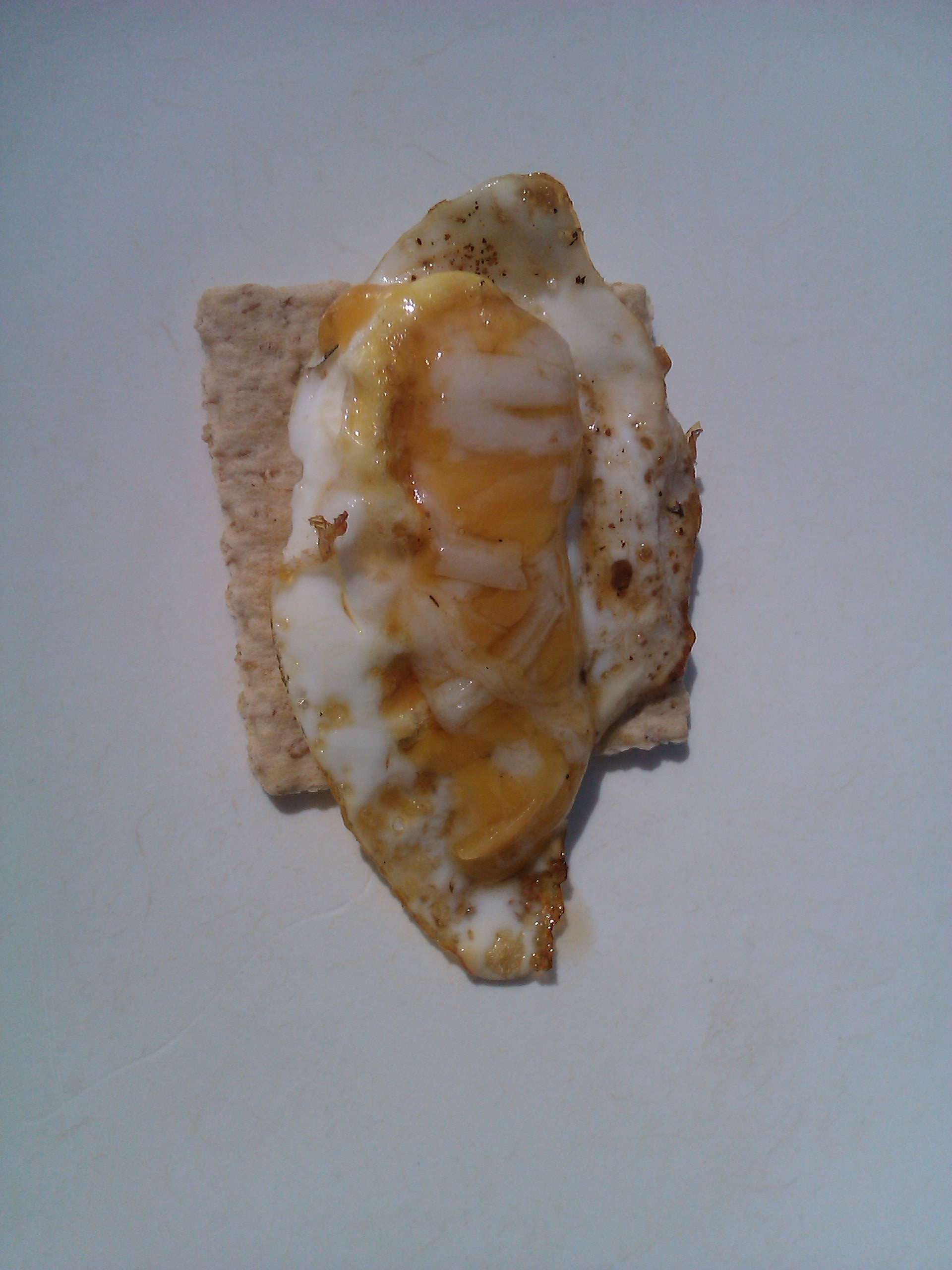 img20110702164811.jpg