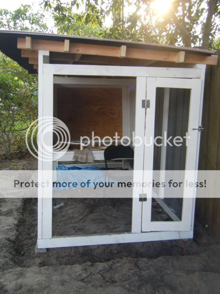 DSCF4537.jpg