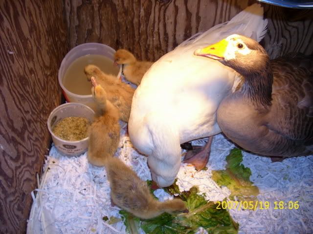 Picture002.jpg