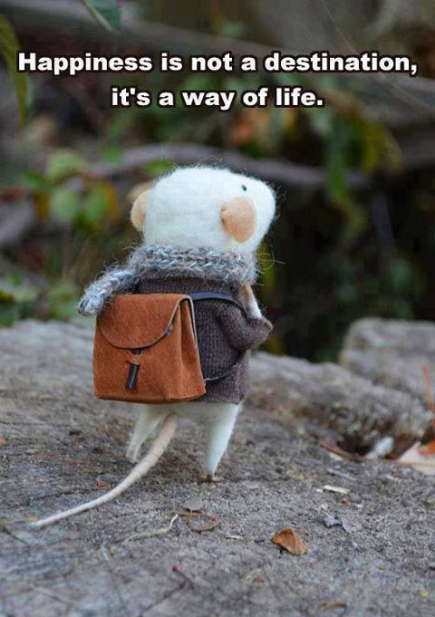 funny-quote-happiness-life-mouse1.jpg
