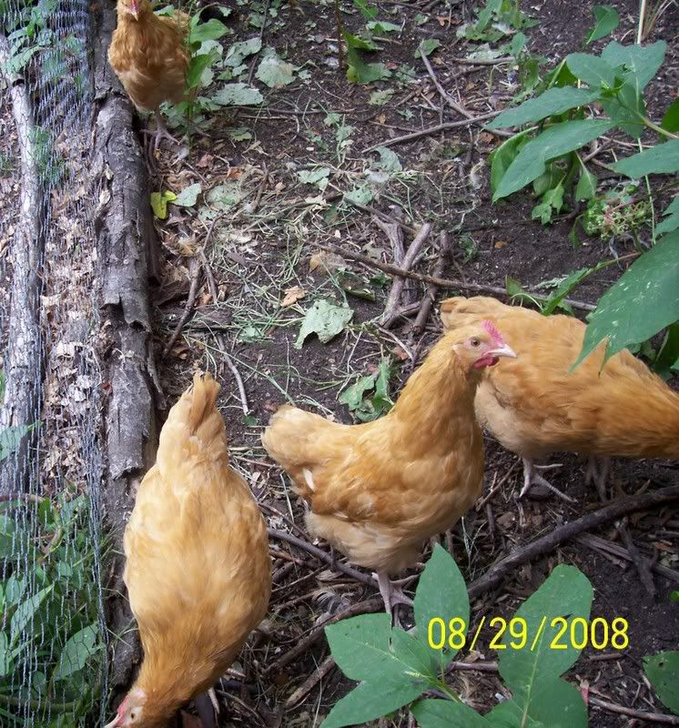 100_5574.jpg