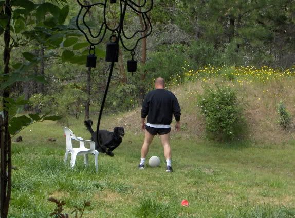 Playingball3.jpg