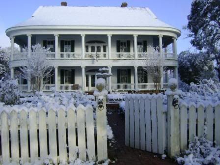winterwonderland4.jpg