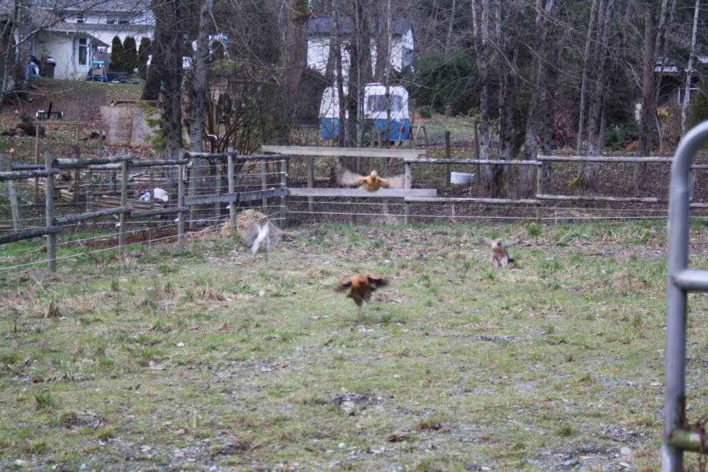 February2011022.jpg