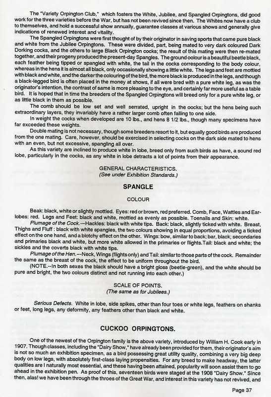 page37a.jpg