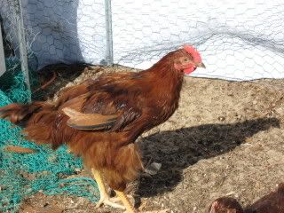 IMG_0194.jpg