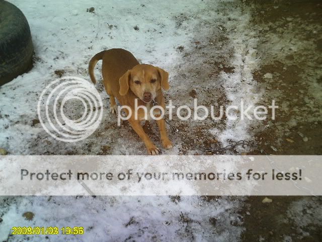 PICT0336.jpg