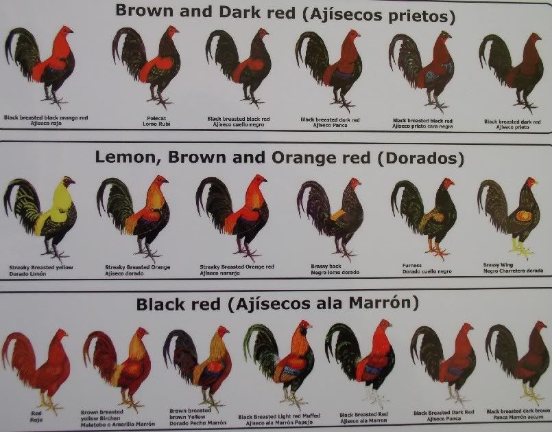 chart1.jpg