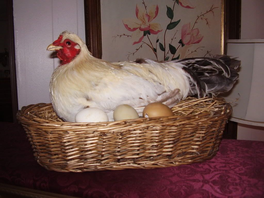 20080519001.jpg