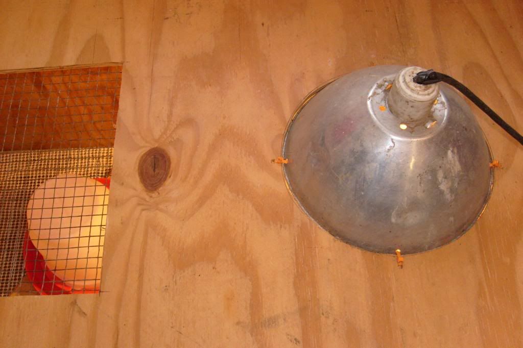 S6301368.jpg