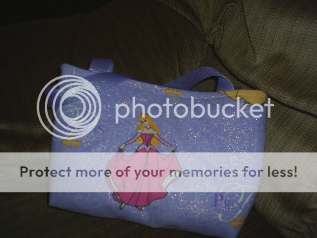 DisneyPrincessSmallPurseSide2.jpg