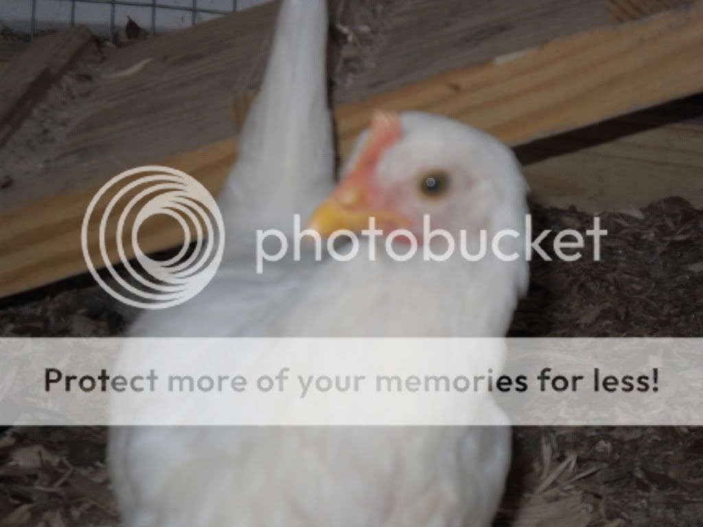 may192011017.jpg