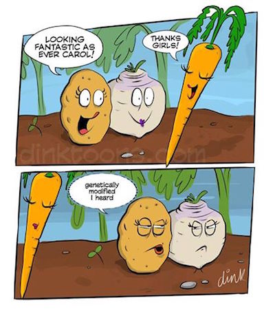 funny-friday-3.jpg